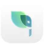 Meesman Icon
