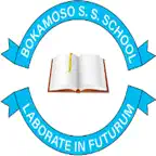 Bokamoso Senior Icon