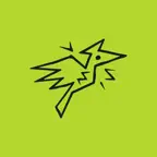 Prime Padel iOS Icon