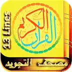 13 Line Quran Indopak Script iOS Icon