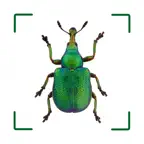 BUND Insekten Kosmos iOS Icon