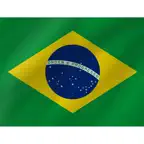 Brazil E-visa iOS Icon