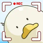 Nuts Island: Wood Screw Puzzle iOS Icon