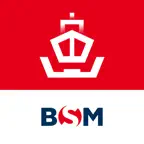 BSM DryDock iOS Icon