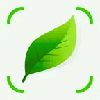 Plant Scanner: Identify & Care iOS Icon
