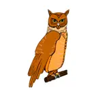 Guard7-Lite iOS Icon