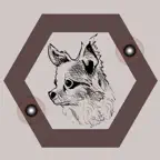 GizmO app iOS Icon