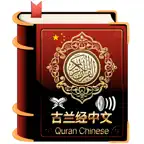 Chinese Quran Audio Book + iOS Icon