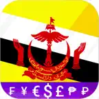 Fast Bruneian BND converter iOS Icon