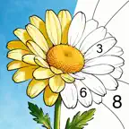 Color Oasis - Color by Number Icon