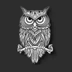Gwaidigo2 iOS Icon