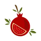 Анар Төв Icon