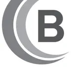 BusinessSense iOS Icon