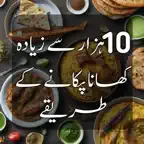 Pakistani Food Recipes Offline iOS Icon
