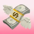 MoneyMindly iOS Icon