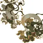風Kanji雷 iOS Icon