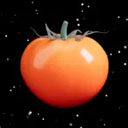 crunchy tomatoes menu scanner iOS Icon