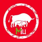 Мясной центр Icon