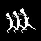 Stollsteimer iOS Icon