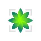 Plant Identifier: by Picture iOS Icon