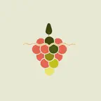 Détours en Vignes iOS Icon