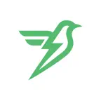 飞速记 - 观鸟、认鸟 Anki 记忆卡考研GRE斩记背单词 iOS Icon