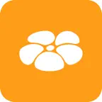 Paiz iOS Icon