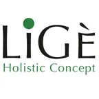 Lige Holistic Concept iOS Icon