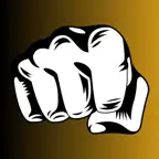 Counter Punch: Fight Trainer iOS Icon