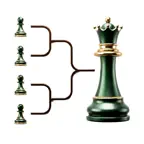 Chess Tournament Manager Pro icon