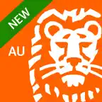ING Banking - Do Your Thing icon