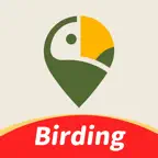 COOLFLY：Free Bird ID&Community Icon
