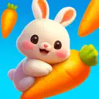 Dream Match 3D iOS Icon