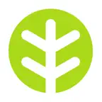 OfferingTree Icon