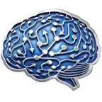 World Brain Mapping iOS Icon