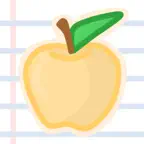BoiseQuest iOS Icon