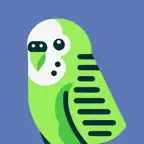 Budgiee iOS Icon