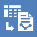 ReportGen iOS Icon