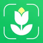 Plant Disease Identifier Pro iOS Icon
