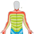 Dermatome Map and Tuning Fork iOS Icon