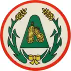草屯停車幫幫忙 iOS Icon