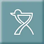 Деловая Утка iOS Icon