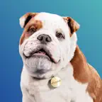 Churchill icon