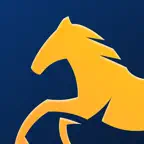 Mustang Energy iOS Icon