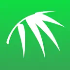 Bamboo Online iOS Icon