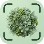 Lichenly – Lichen Identifier iOS Icon