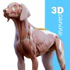 Complete Canine Anatomy 3D iOS Icon