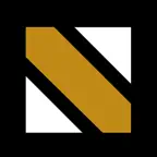 Nyna Security iOS Icon