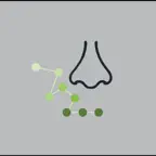 Innolfact iOS Icon