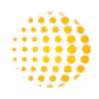 Coletor CPE iOS Icon